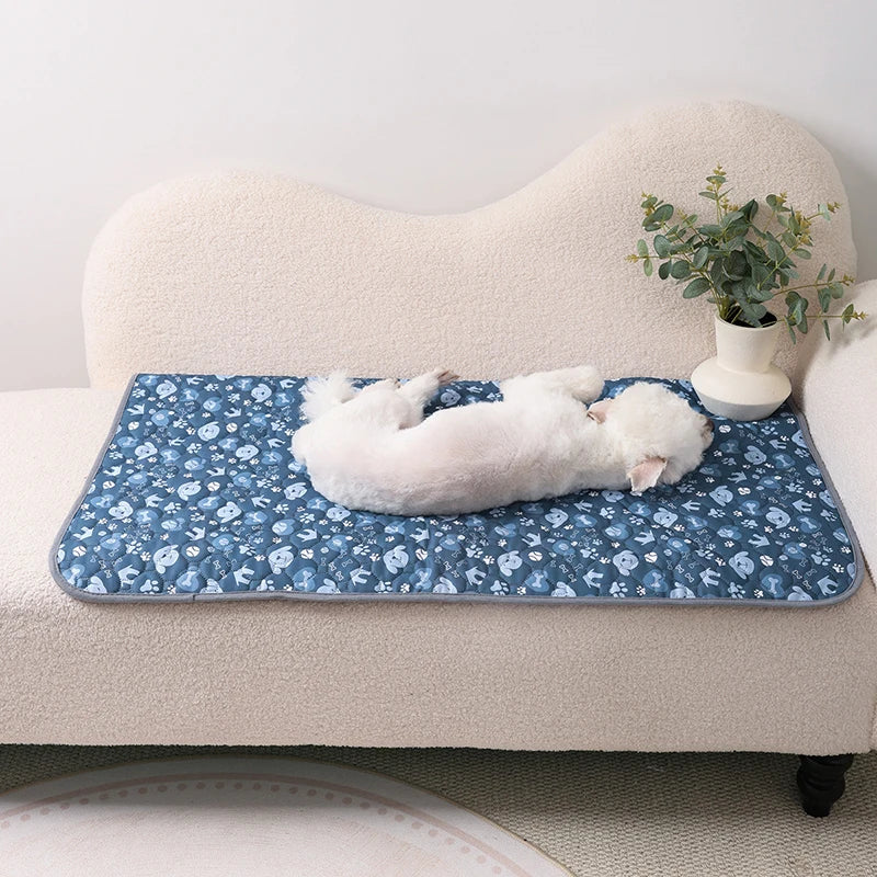 Premium Washable Leak-Proof Pet Mat